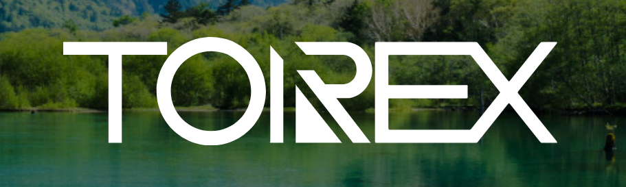 Torex Semiconductor Ltd